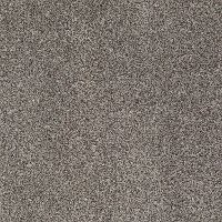 Shaw Dare To Shine Tonal Carpet