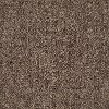 Shaw Add Some Glam Carpet