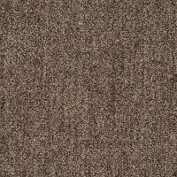 Shaw Add Some Glam Carpet