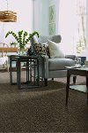 Shaw Add Some Glam Carpet-2