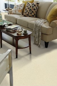 PHL.CRAFTED.PERFECTION Shaw Crafted Perfection Carpet-2