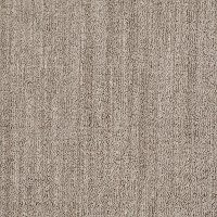 Shaw Style Crush Carpet