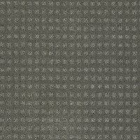 PHL.YOUR.NEW.FAVORITE Shaw Your New Favorite Carpet