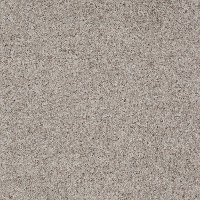 Shaw Stay Luminous Carpet
