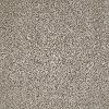 Shaw Stay Luminous Tonal Carpet