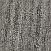 Shaw Well Timed Carpet