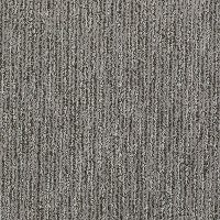 Shaw Well Timed Carpet