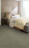Shaw Well Timed Carpet-3