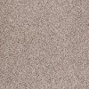 DSW.CANYON.VIEW Tuftex Canyon View Carpet