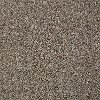 Tuftex Stainmaster Royal Charm I Carpet