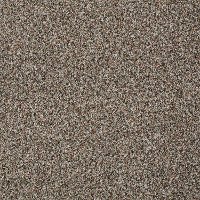 Tuftex Stainmaster Royal Charm I Carpet