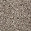 Tuftex Stainmaster Royal Charm II Carpet