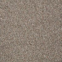Tuftex Stainmaster Royal Charm II Carpet