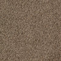 Karastan Classy Chic Carpet