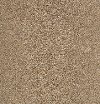 KAR.UPSCALE.LIVING.STOCK Karastan Upscale Living Carpet