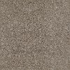 Shaw Pure Joy Carpet