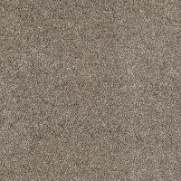PHL.PURE.JOY Shaw Pure Joy Carpet