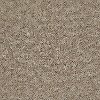 Shaw Delight Carpet