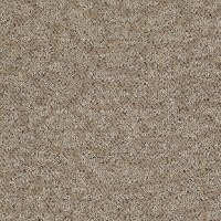 Shaw Delight Carpet
