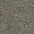 DSW.OUR.PLACE.I Tuftex Our Place I Carpet
