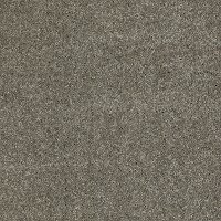 DSW.OUR.PLACE.I Tuftex Our Place I Carpet