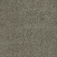 DSW.OUR.PLACE.I Tuftex Our Place I Carpet