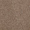DSW.OUR.PLACE.II Tuftex Our Place II Carpet