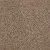 DSW.OUR.PLACE.II Tuftex Our Place II Carpet