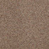 DSW.OUR.PLACE.II Tuftex Our Place II Carpet