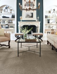 DSW.OUR.PLACE.II Tuftex Our Place II Carpet-2