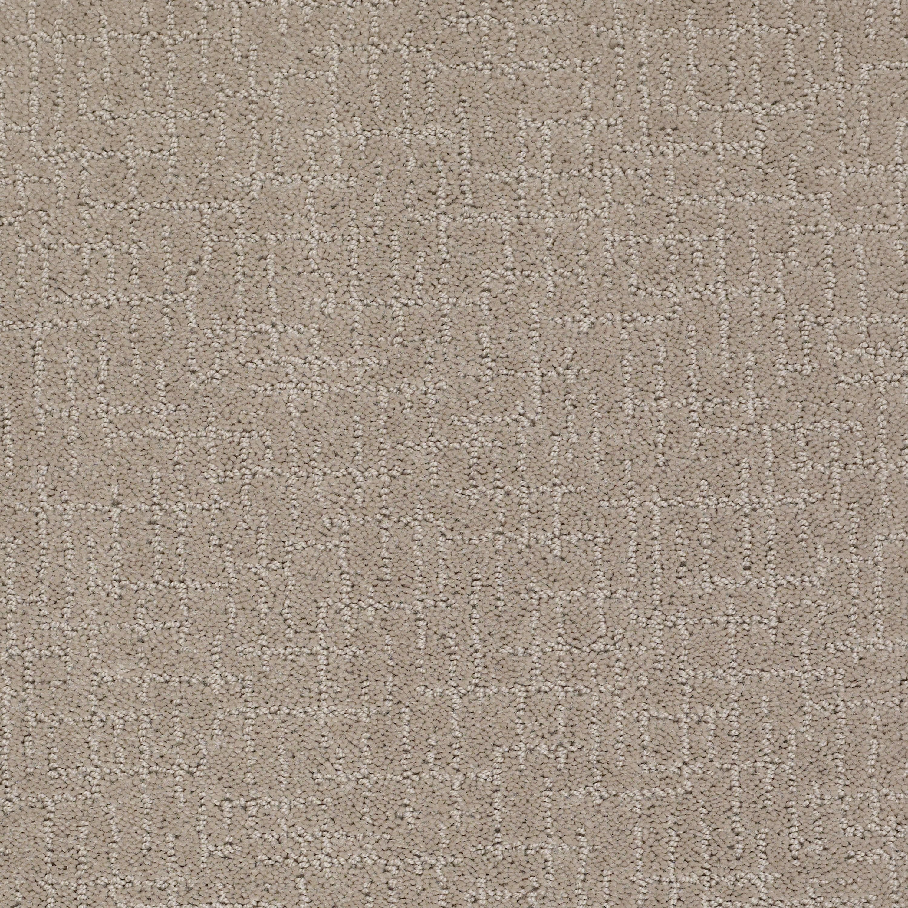DSW.LONG.GUARDED Tuftex Long Guarded Carpet-1