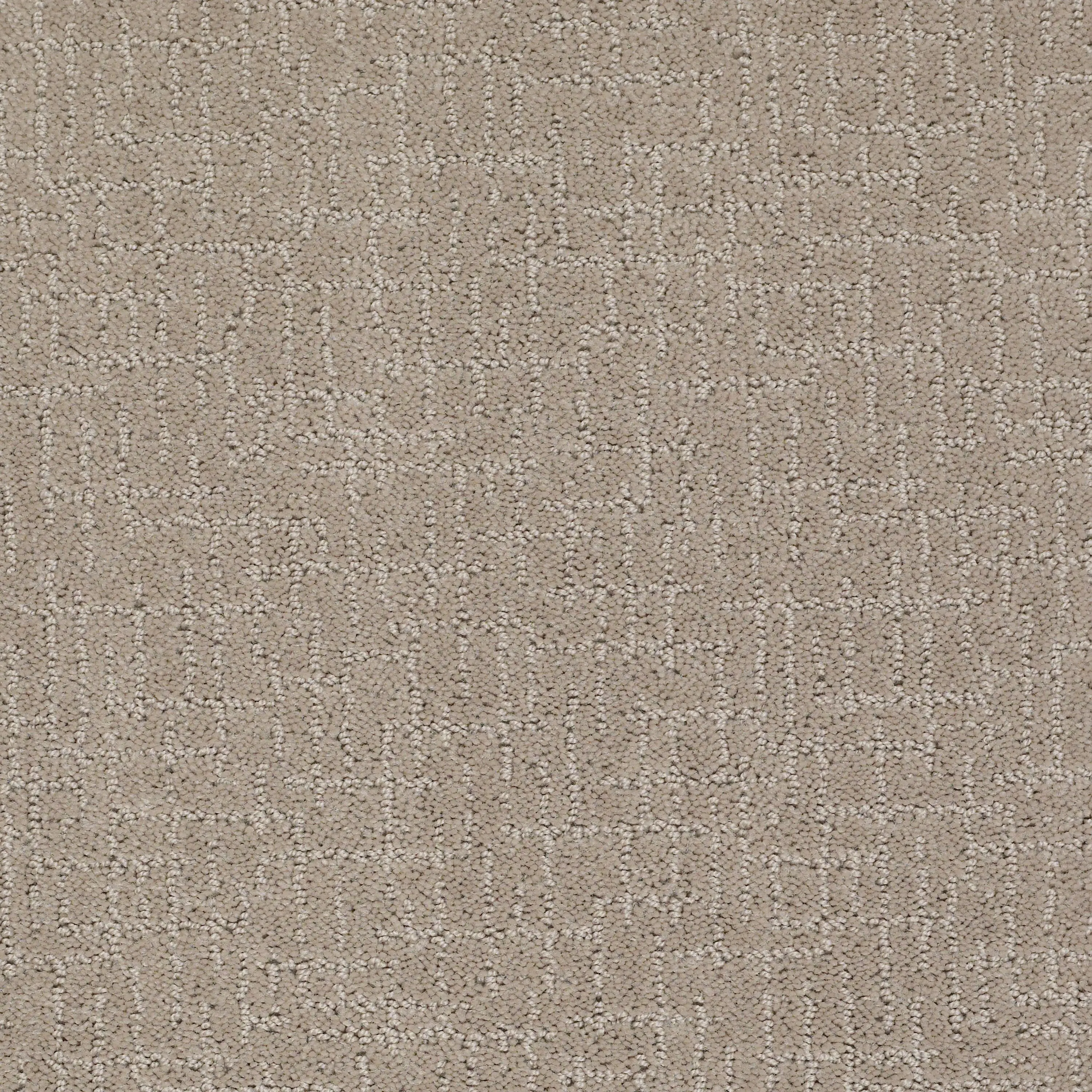 DSW.LONG.GUARDED Tuftex Long Guarded Carpet-1