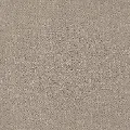 DSW.LONG.GUARDED.MD Tuftex Long Guarded Carpet