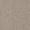 DSW.LONG.GUARDED Tuftex Stainmaster Long Guarded Carpet
