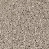 Tuftex Stainmaster Long Guarded Carpet