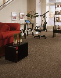 DSW.LONG.GUARDED Tuftex Stainmaster Long Guarded Carpet-2