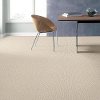 Tuftex Another Place Carpet-2