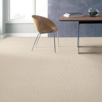 DSW.ANOTHER.PLACE Tuftex Another Place Carpet-2