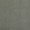 Tuftex Stainmaster Put It On Carpet