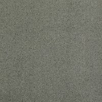 Tuftex Stainmaster Put It On Carpet
