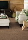 Tuftex Stainmaster Put It On Carpet-2
