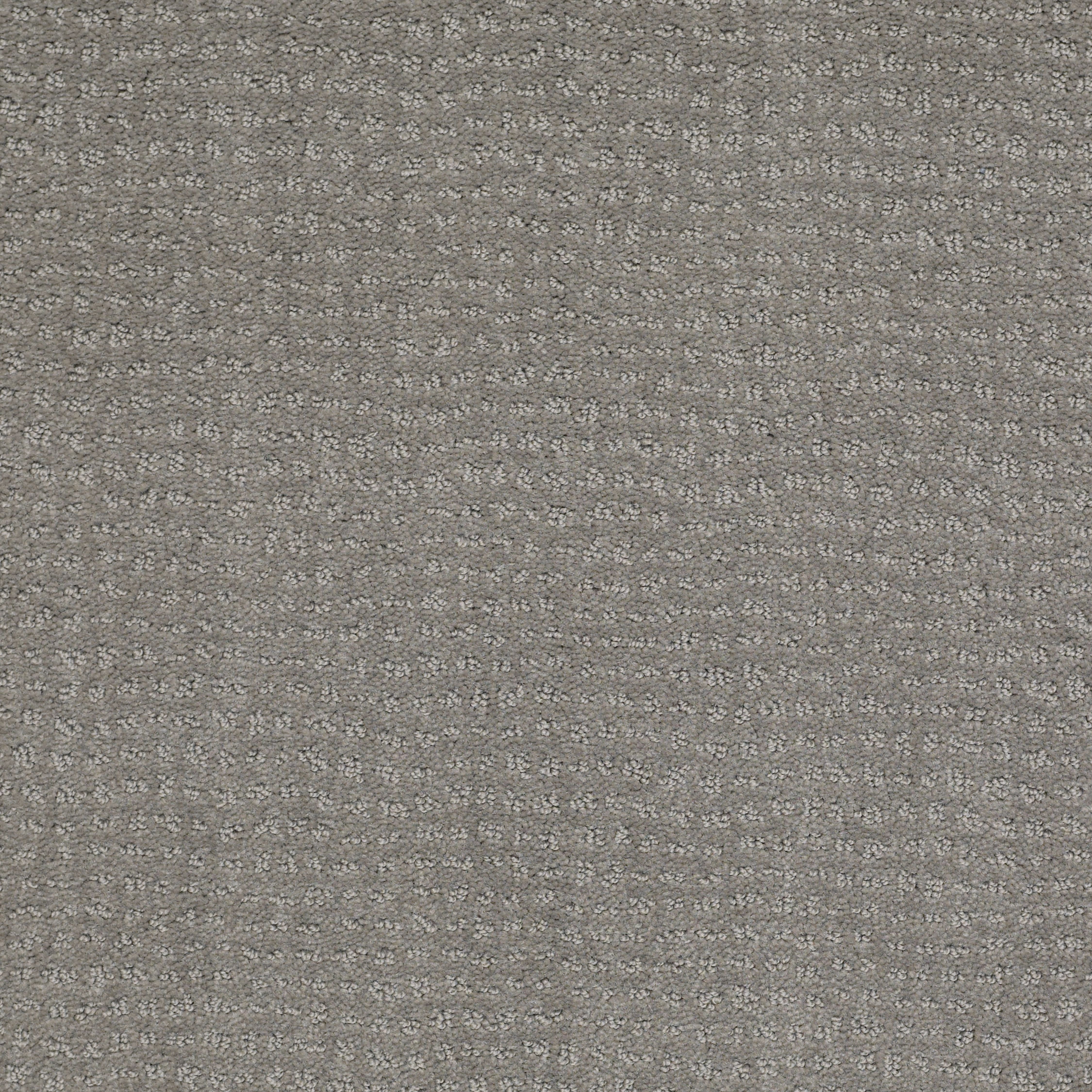 DSW.EVERYONES.PICK Tuftex Everyones Pick Carpet-1