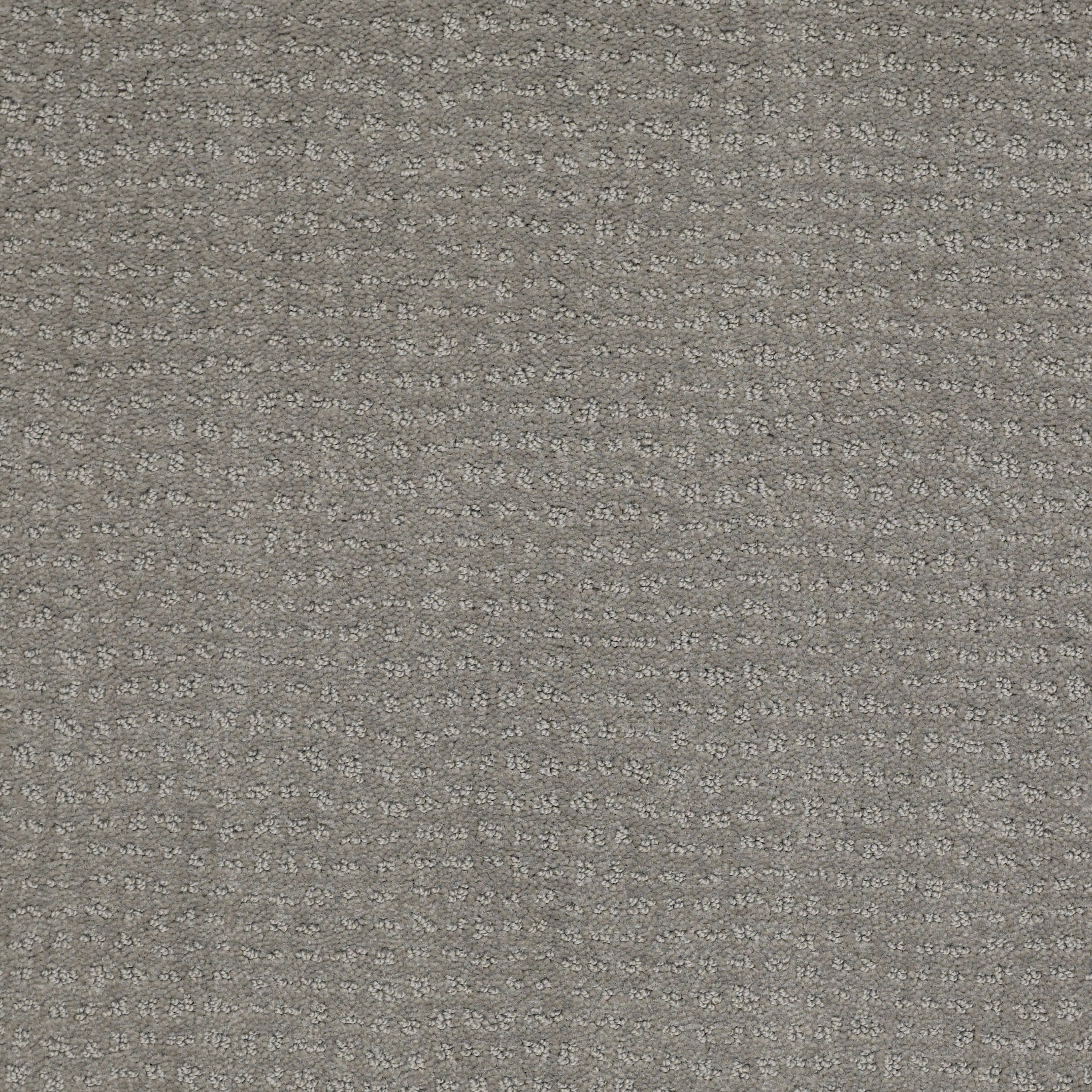 DSW.EVERYONES.PICK Tuftex Everyones Pick Carpet-1