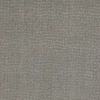 DSW.EVERYONES.PICK Tuftex Everyones Pick Carpet