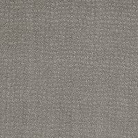 Tuftex Stainmaster Everyones Pick Carpet