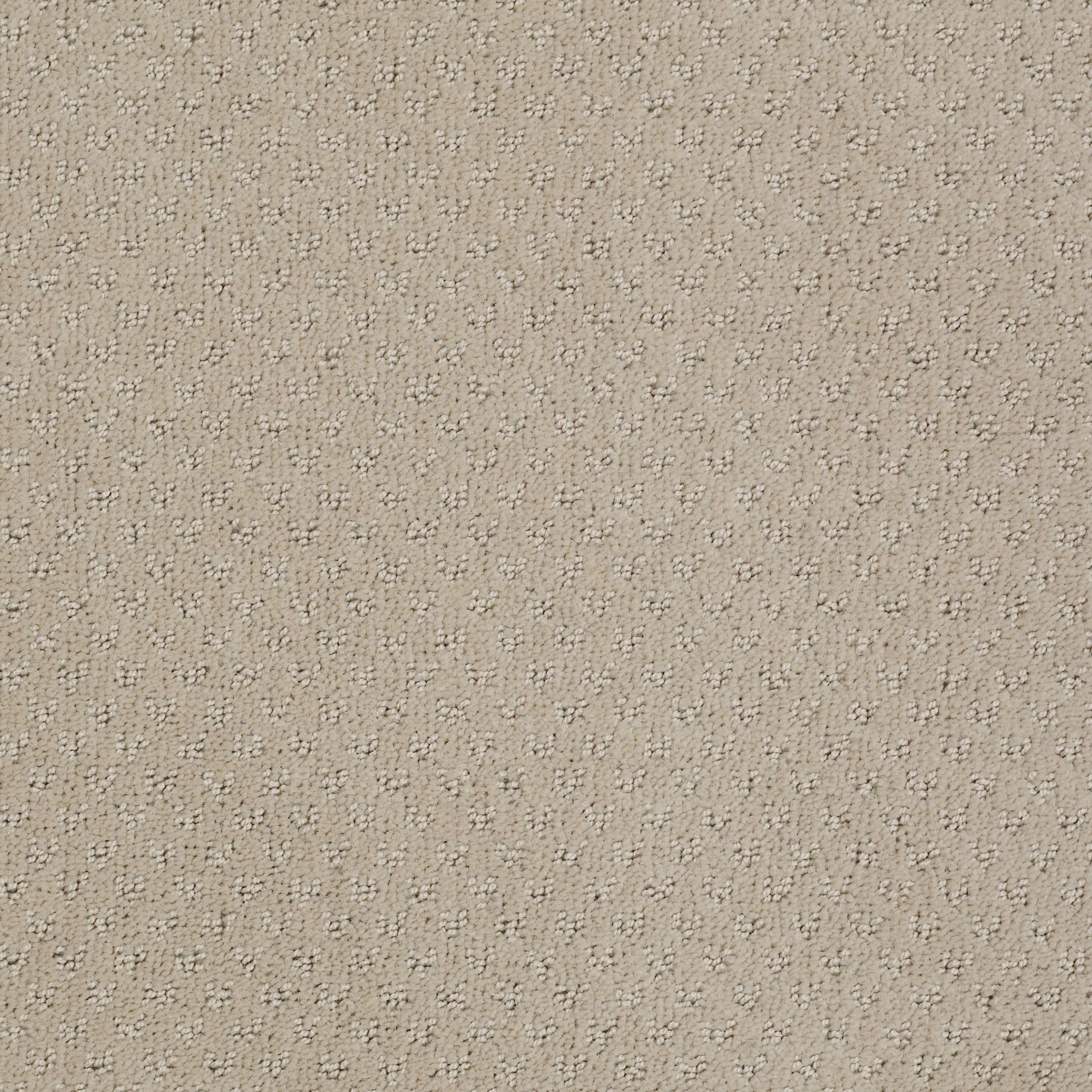 DSW.MY.RULES Tuftex My Rules Carpet-1