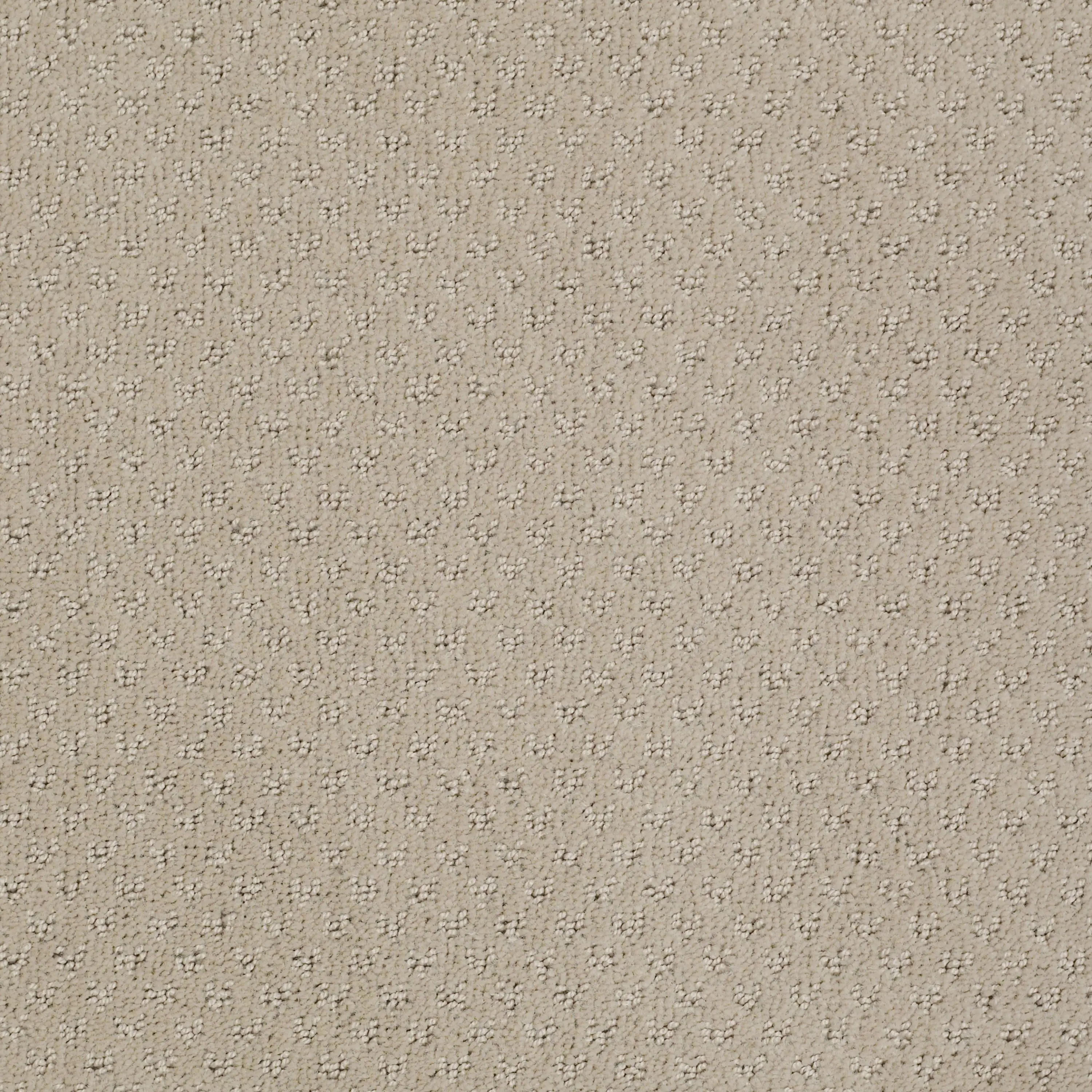 DSW.MY.RULES Tuftex My Rules Carpet-1