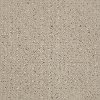 DSW.MY.RULES Tuftex My Rules Carpet