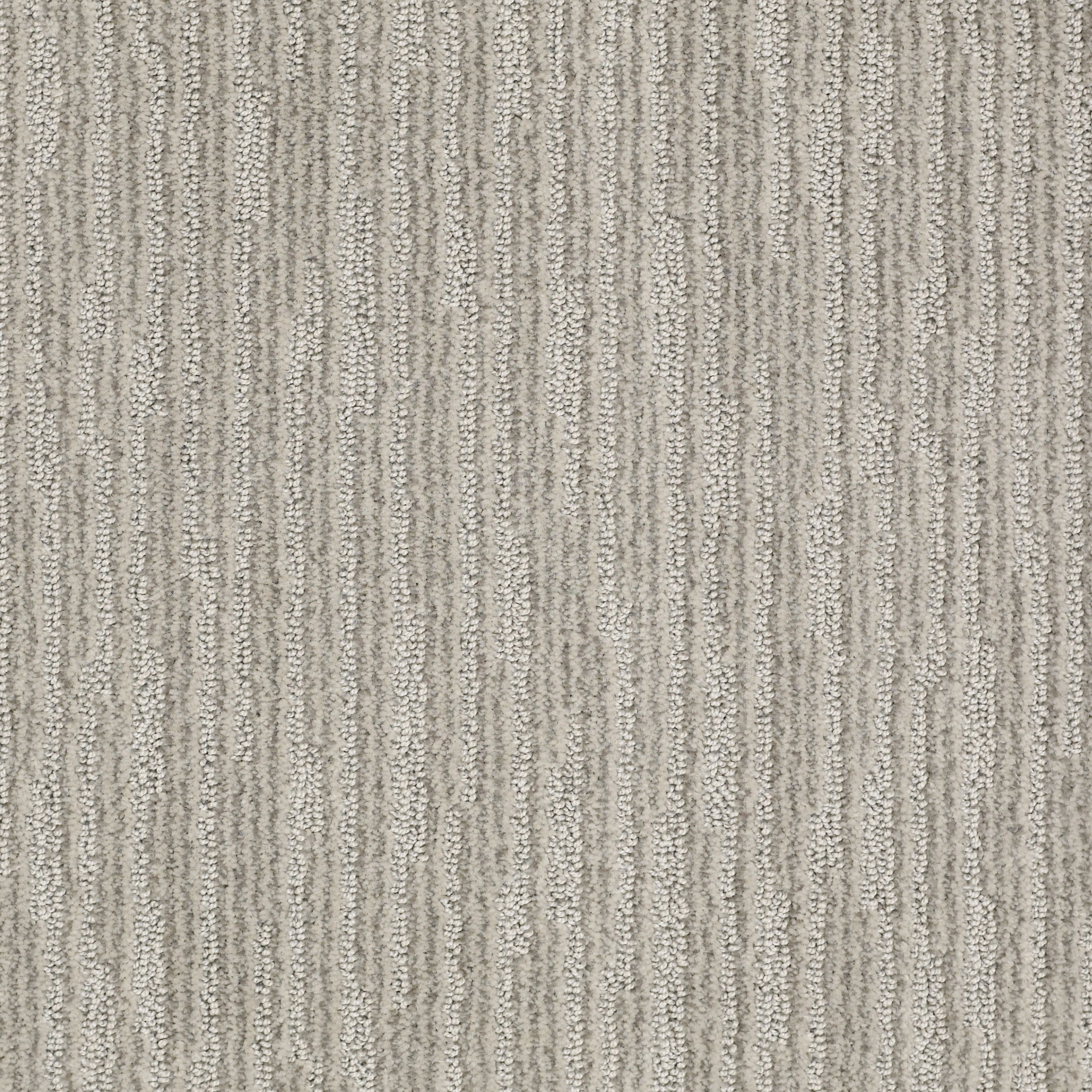 DSW.JUST.BECAUSE Tuftex Just Because Carpet-1