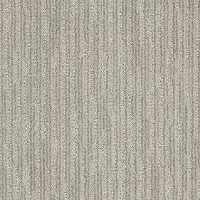 DSW.JUST.BECAUSE Tuftex Just Because Carpet